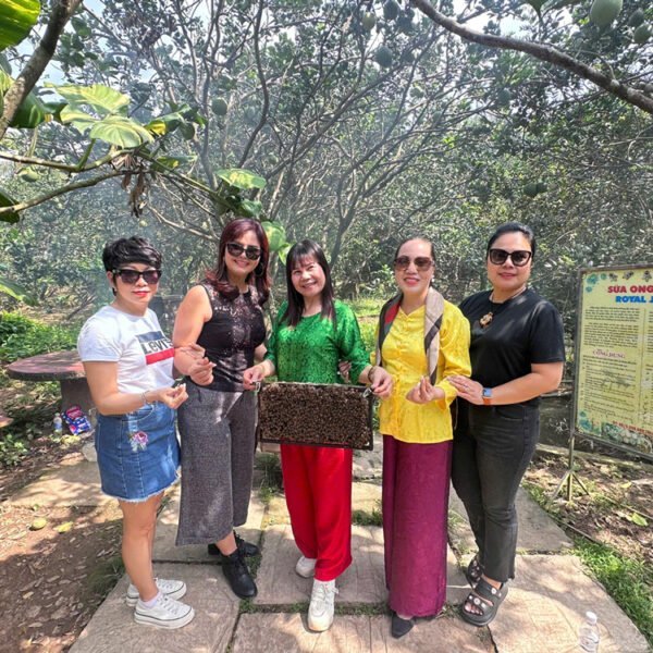 TOUR VIP 2N1Đ KHÁM PHÁ CHỢ NỔI CÁI RĂNG - TRẢI NGHIỆM TÂY ĐÔ ĐẬM ĐÀ BẢN SẮC