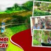 thumbail-tour-2n-haugiang