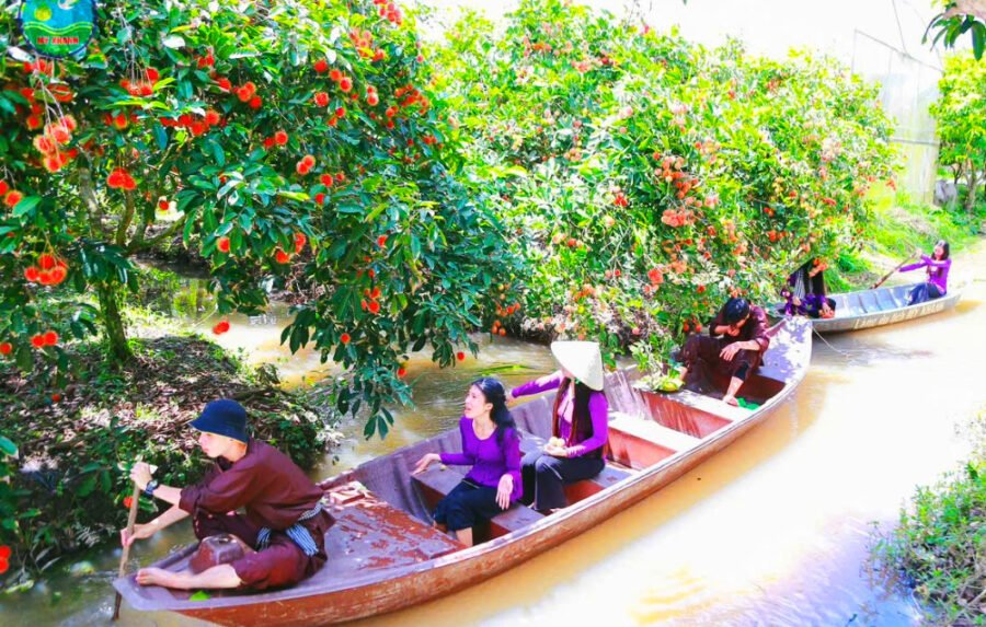 TOUR SÀI GÒN - CẦN THƠ 1 NGÀY. TỰ HÁI TRÁI CÂY TẠI VƯỜN