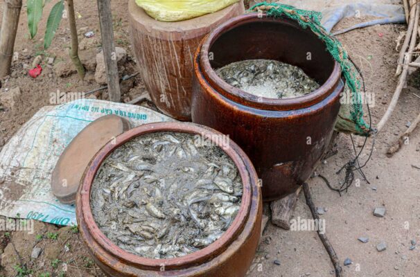 đặc sản mắm Cần Thơ - Phân tích sự khác biệt giữa các loại mắm đặc sản của vùng đất Cần Thơ và Sóc Trăng