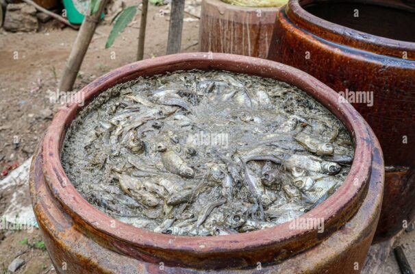 đặc sản mắm Cần Thơ - Phân tích sự khác biệt giữa các loại mắm đặc sản của vùng đất Cần Thơ và Sóc Trăng
