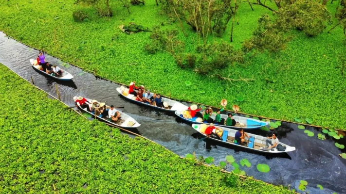 Review chi tiết tour đi thuyền khám phá rừng tràm Trà Sư cho gia đình có trẻ nhỏ