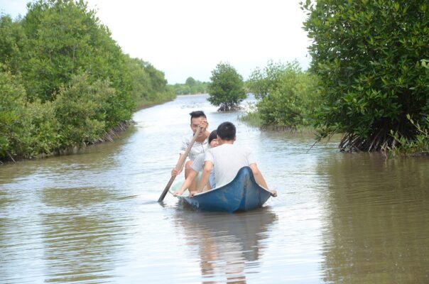 Khách du lịch bơi xuồng tham quan vuông tôm ở Năm Căn, Cà Mau